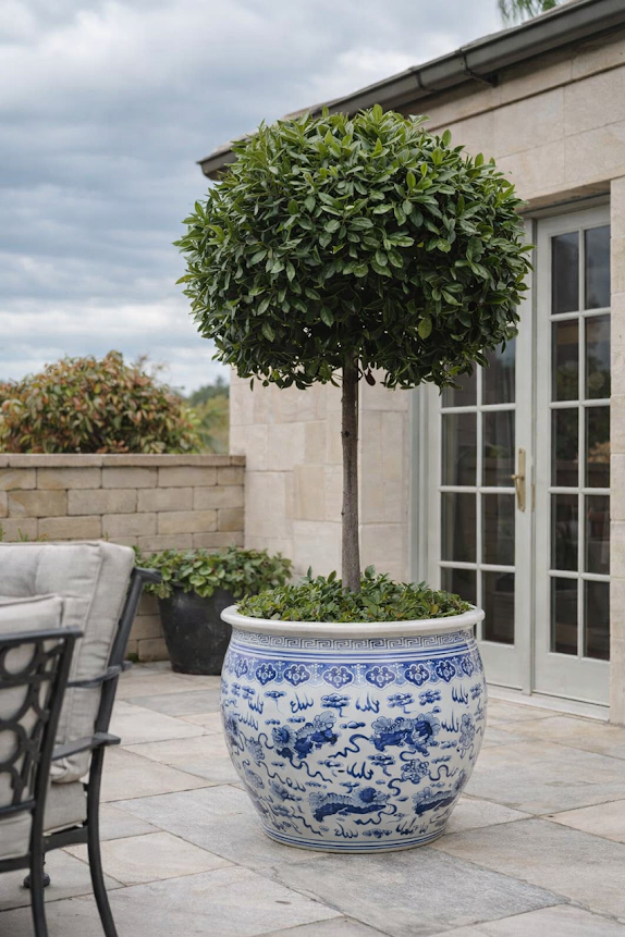 Jumbo foo dog fishbowl