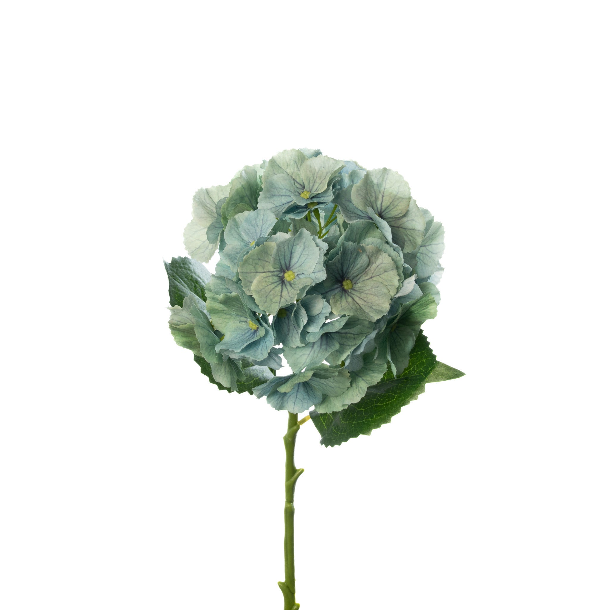 Box of 12 Green Mist REAL TOUCH HYDRANGEA