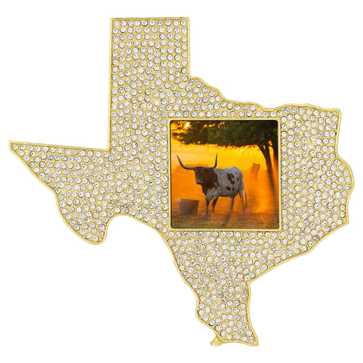 Crystal Texas 3"x 3" Picture Frame