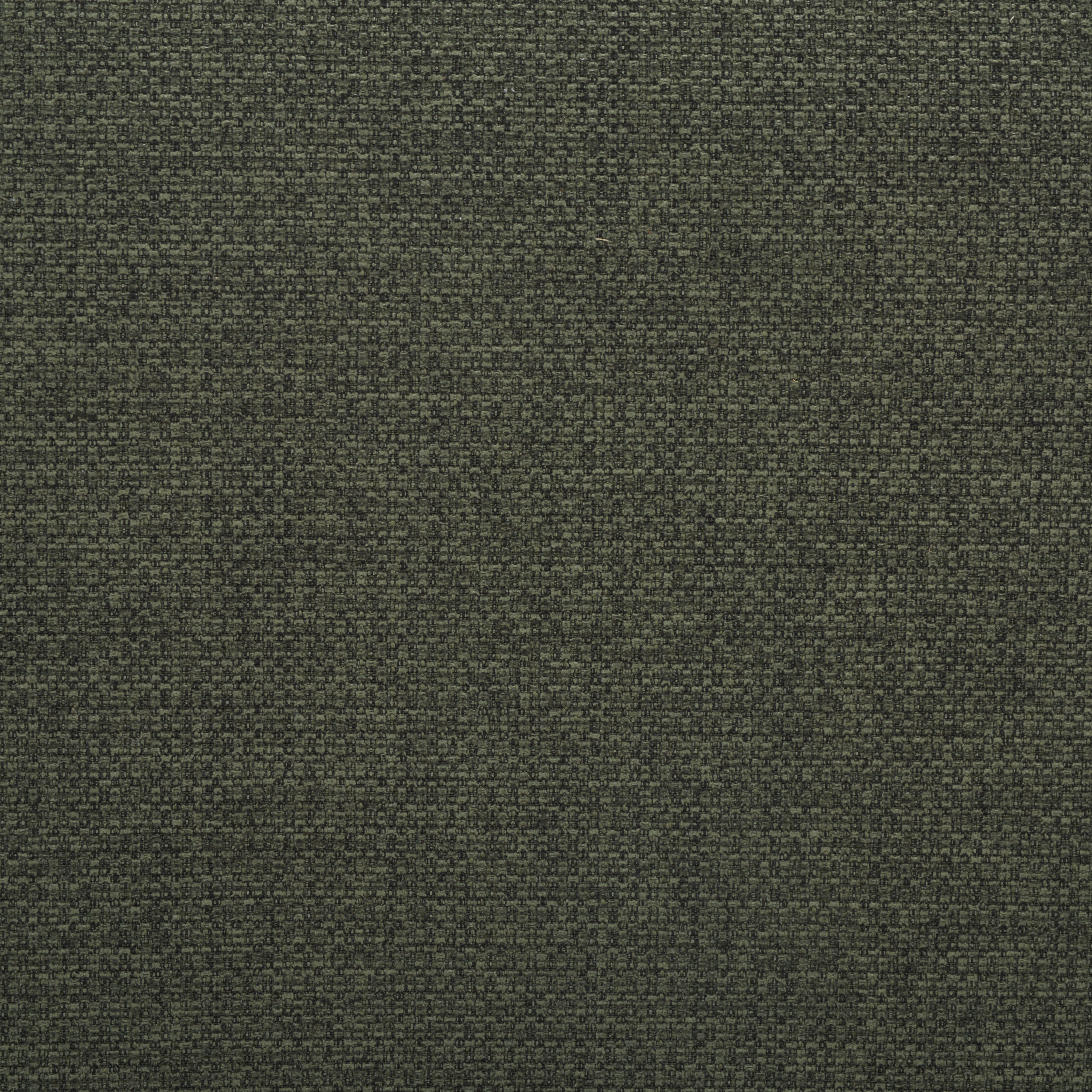OLIVE GREEN / WALNUT