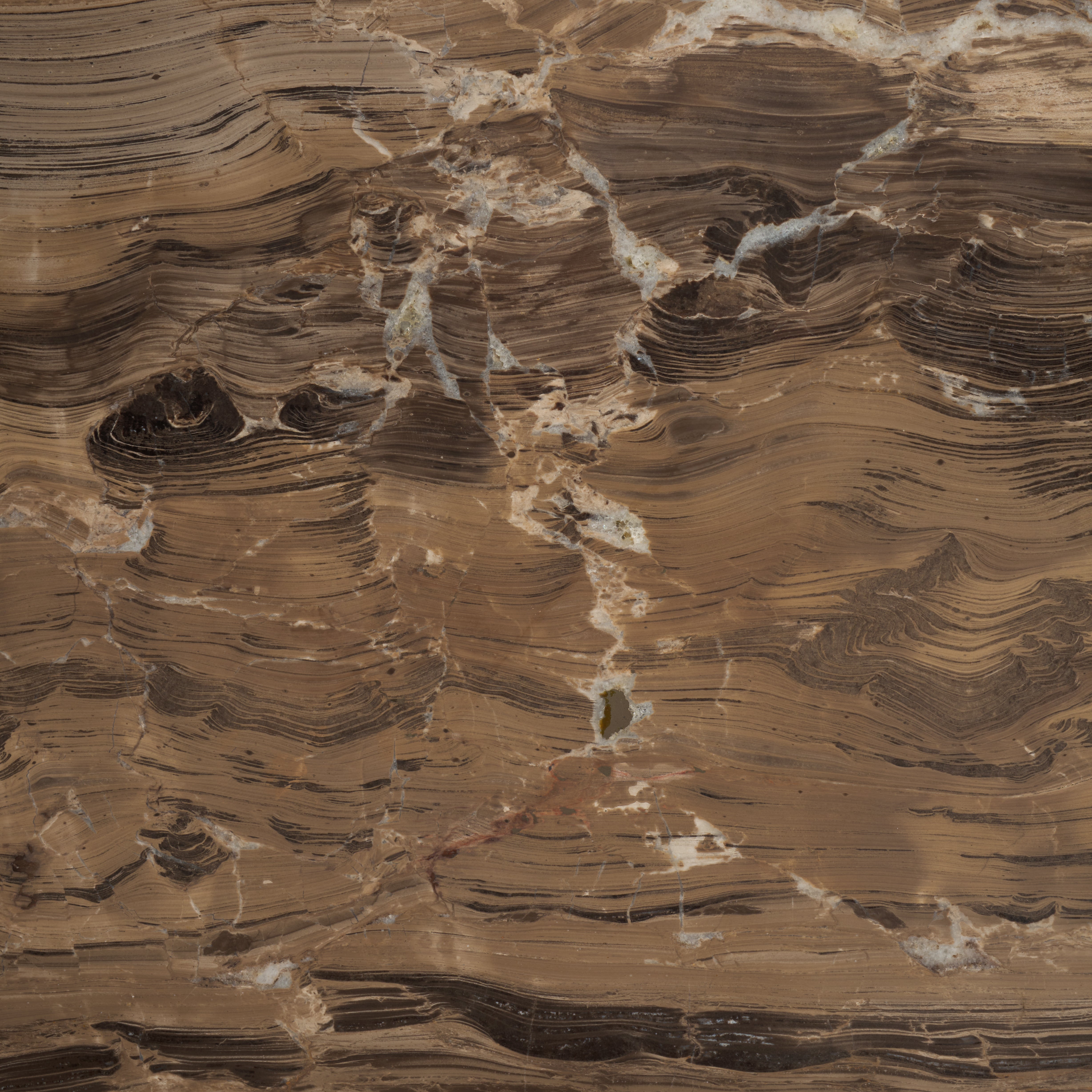 WALNUT / BROWN