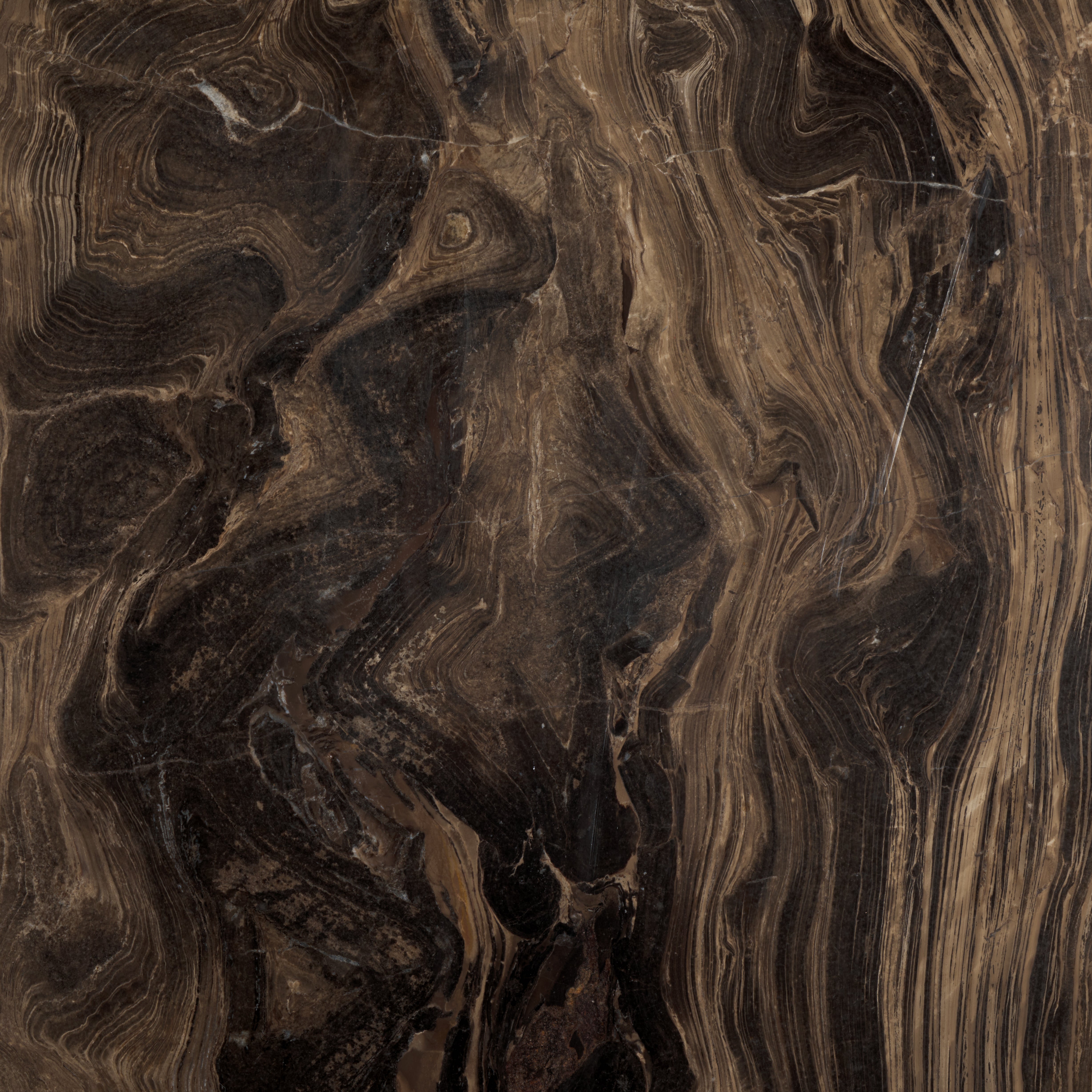 WALNUT / BROWN