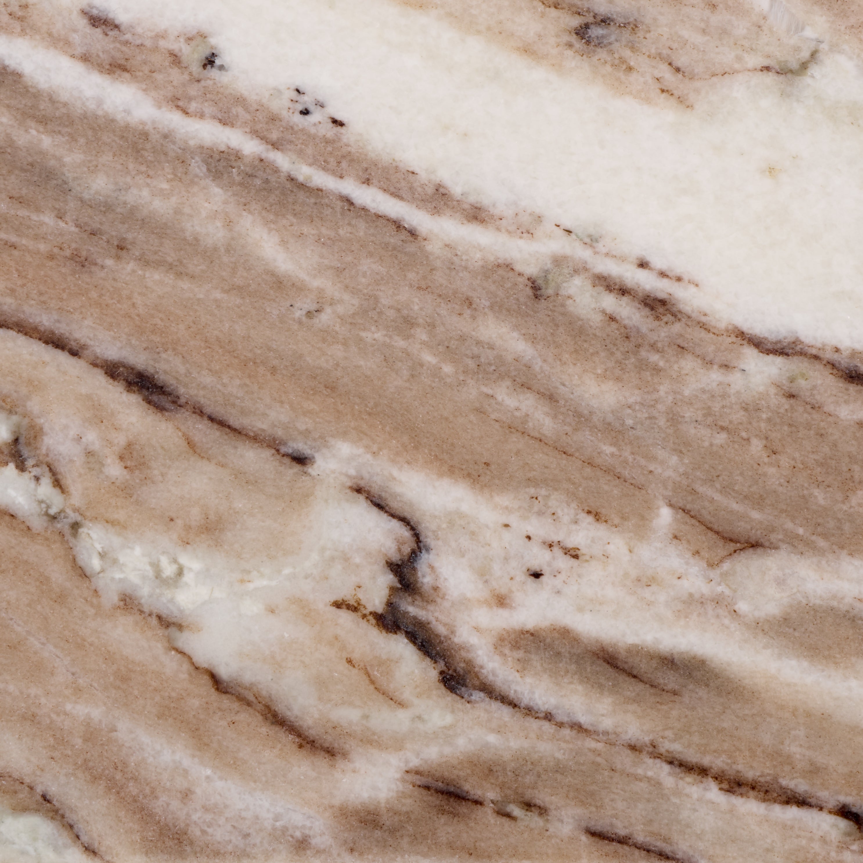 WHITE / BROWN