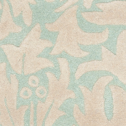 Light Blue / Beige