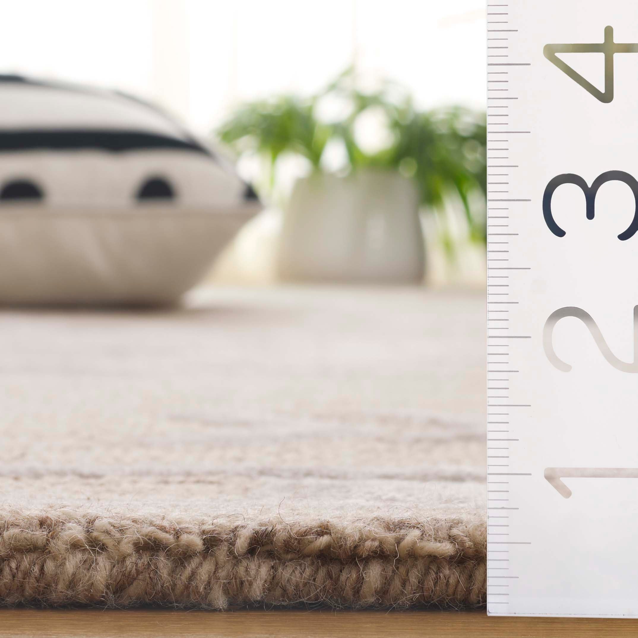 Beige / Ivory
