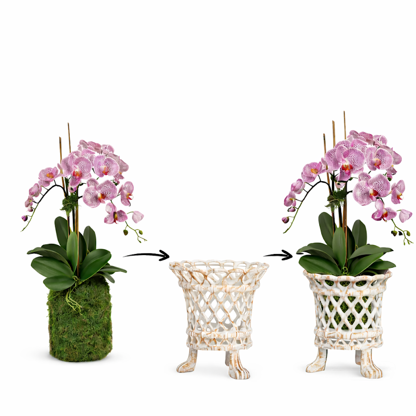 3 Stem Pink/Purple Drop in Orchid