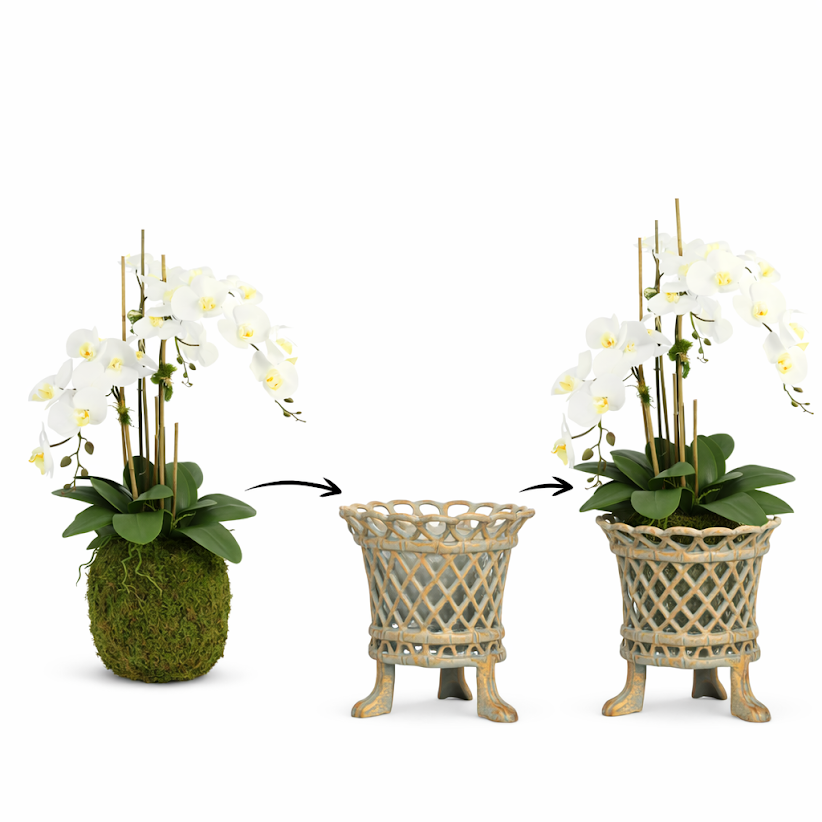 Lifelike Drop in Orchid