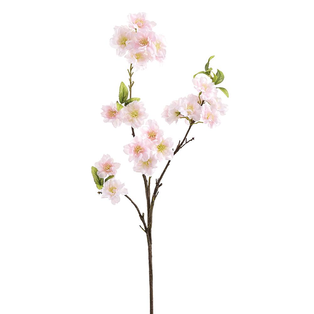 Box of 12 Blush Cherry Blossom Stems