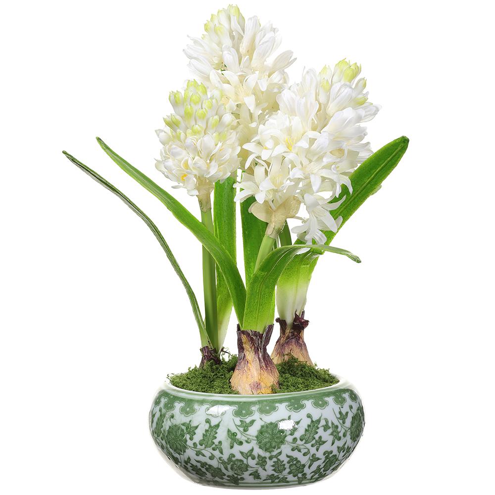 14" Hyacinth in GREEN & White FISHBOWL