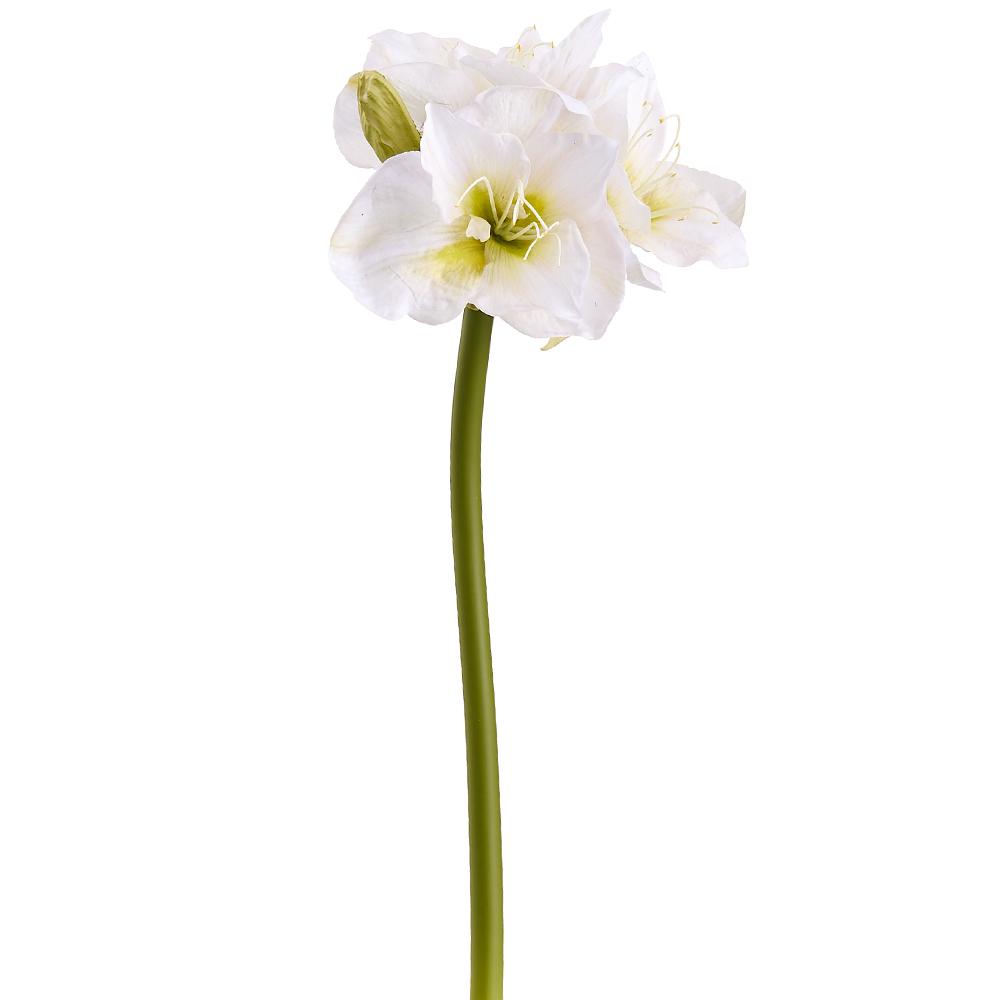 Box of 6 White 29" Amaryllis Spray