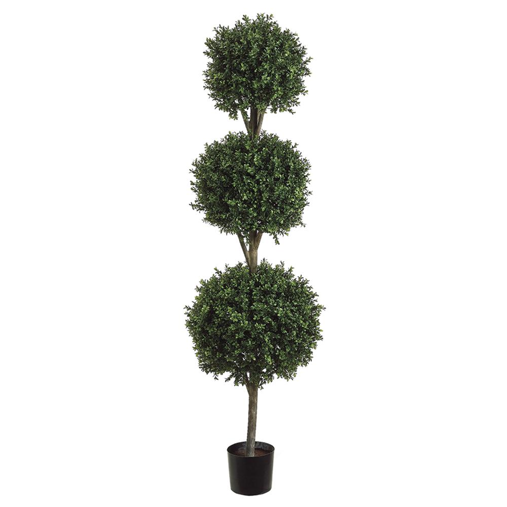 6' Triple Ball-Shaped Boxwood Topiary