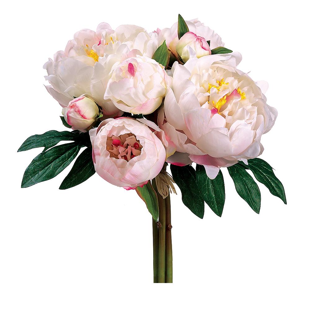 Box of 6 Cream Cerise Peony Bouquet