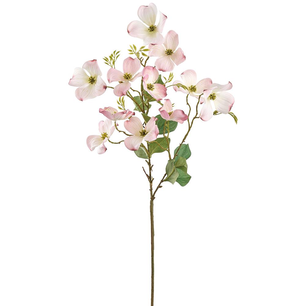 Box of 12 Blush Dogwood Spray
