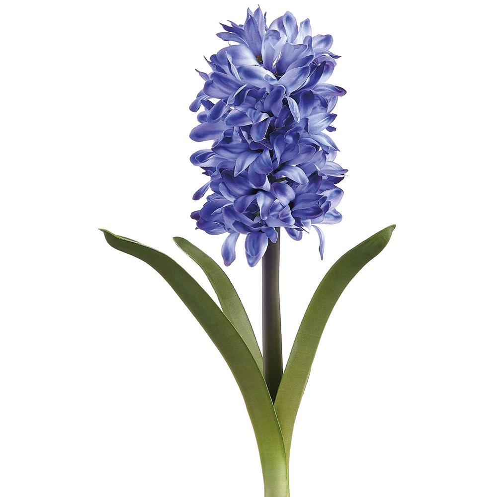 Box of 12 Blue Hyacinth Spray