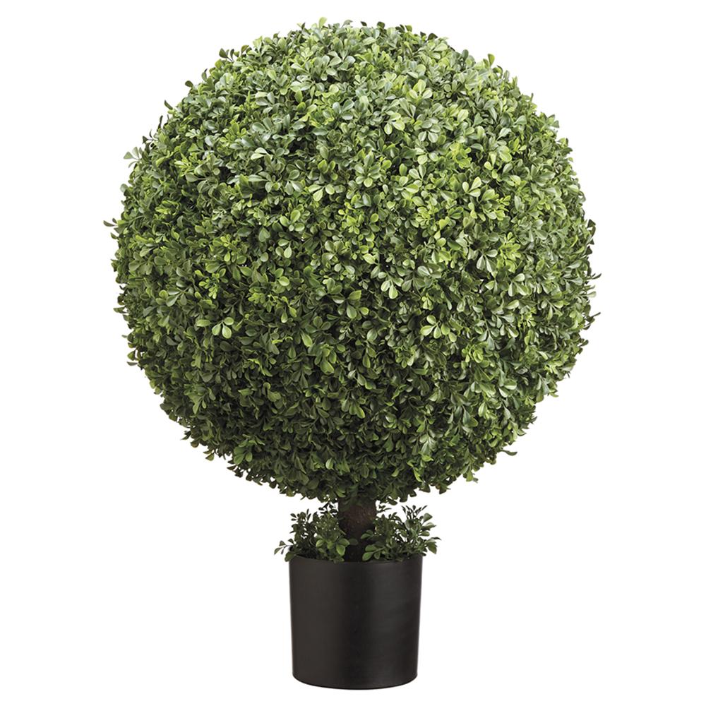 Boxwood Ball (4 Sizes)