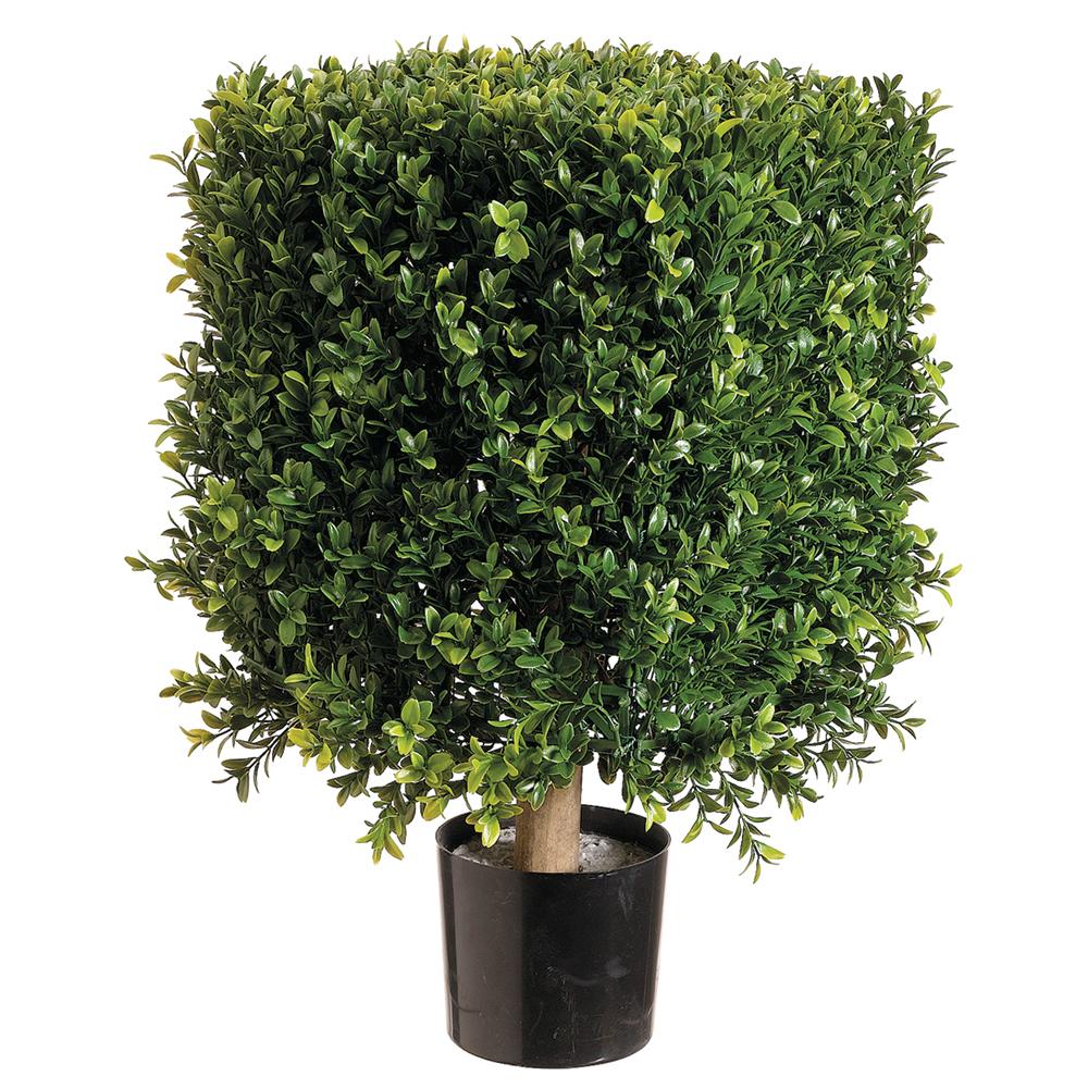 21" Square Boxwood Topiary
