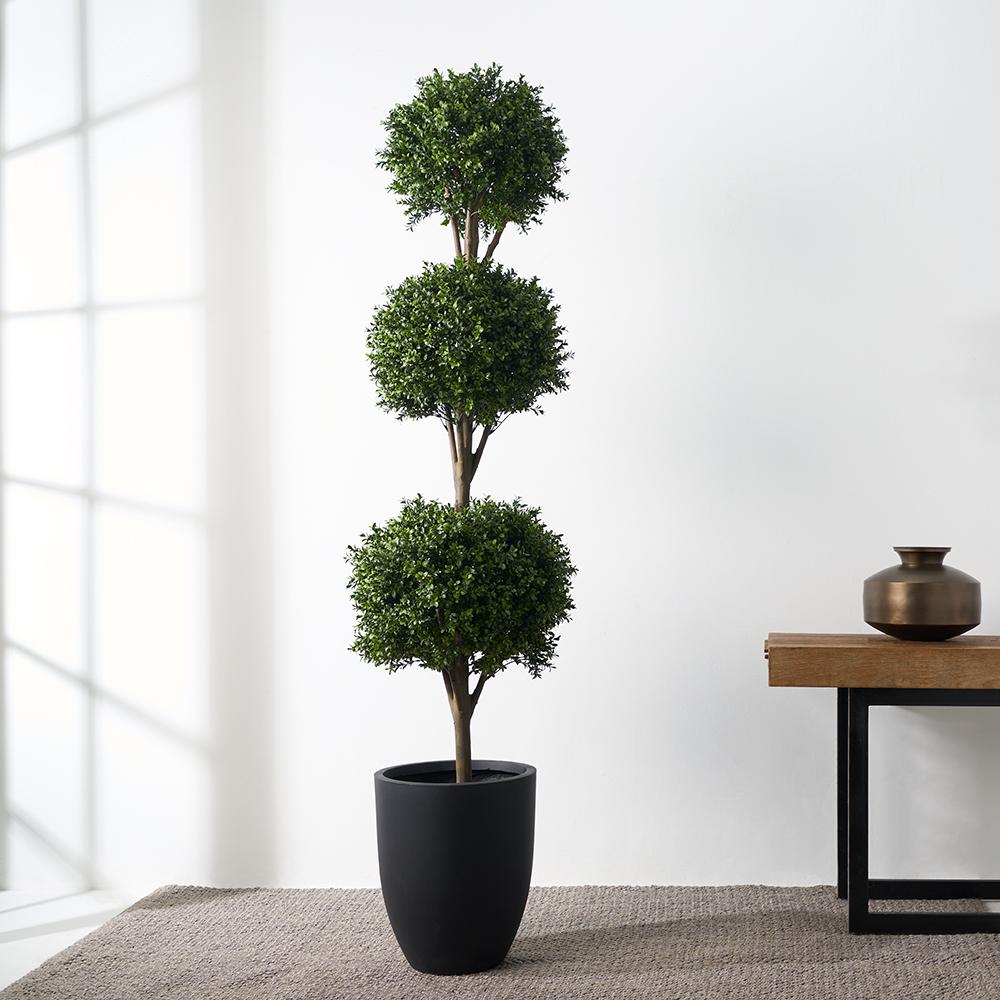 6' Triple Ball-Shaped Boxwood Topiary