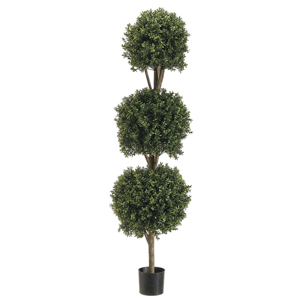 5' Triple Ball-Shaped Boxwood Topiary