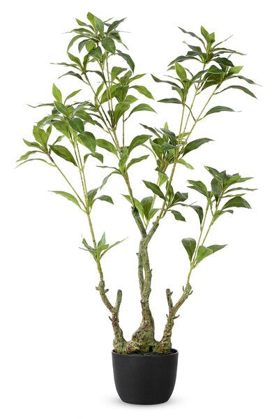Safavieh Faux 32 Potted Pierisjaponica , FXP2012