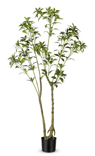 Safavieh Faux 60 Potted Pierisjaponica , FXP2013