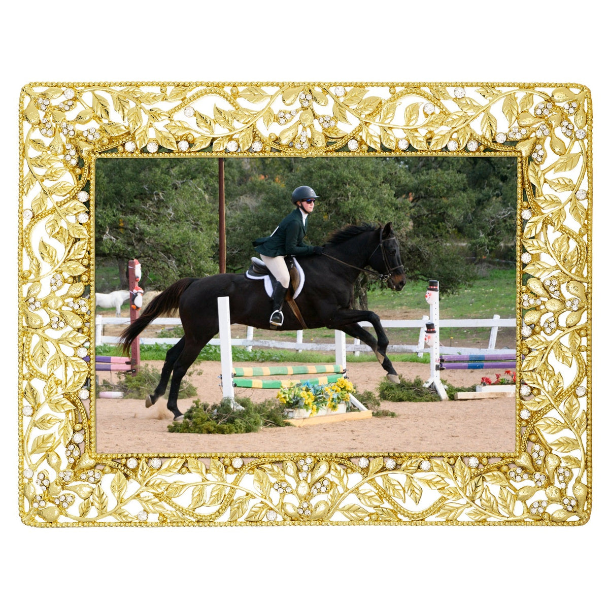 Festoon Picture Frame
