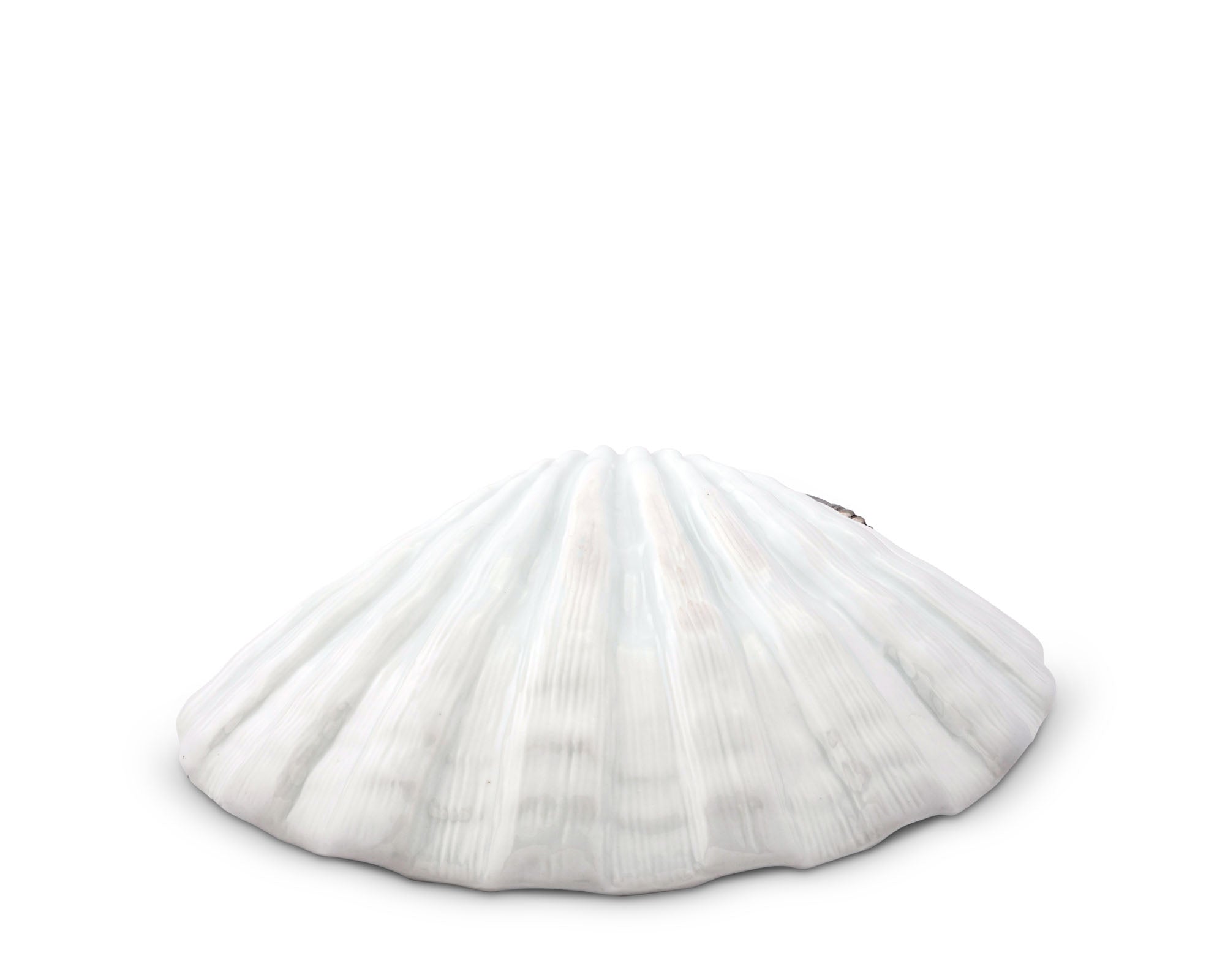 Shrimp Porcelain Shell Plate