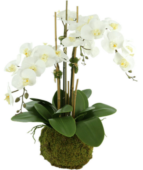 Lifelike Drop in Orchid