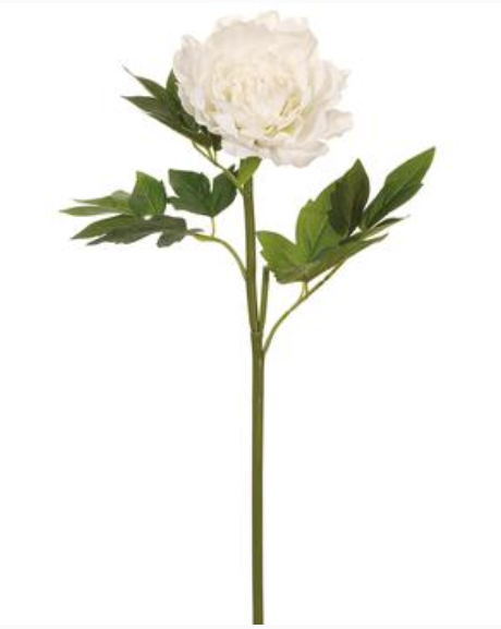 BOX OF 12 "REAL TOUCH" WHITE PEONY STEMS