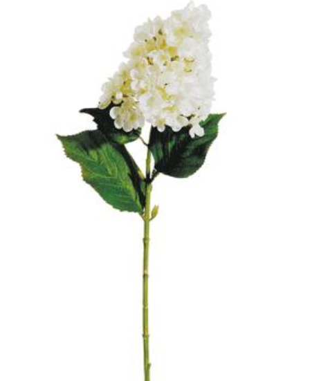 28" Oakleaf White Hydrangeas (Box of 12)