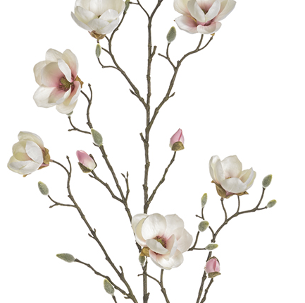 Magnolia Pink & Cream Stems (Box of 6)