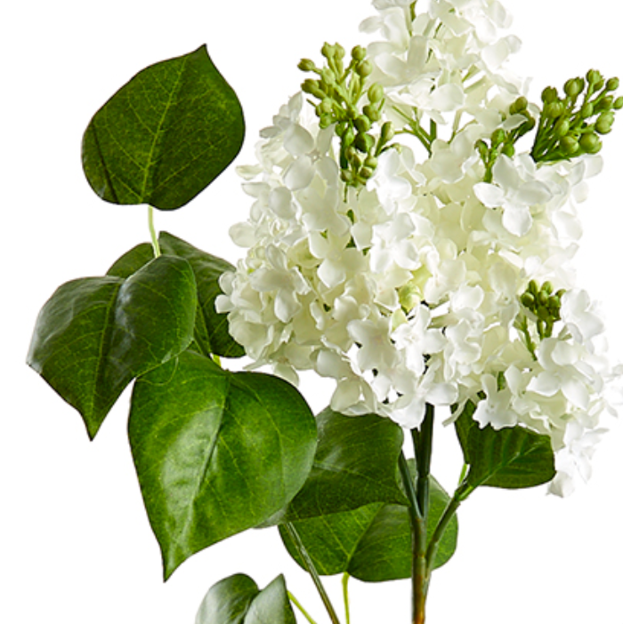 26" Lifelike White Lilac Box of 6 Stems