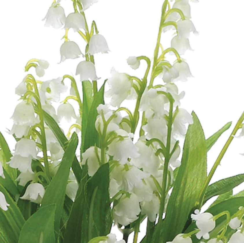 Box of 12 Lily of the Valley Clusters