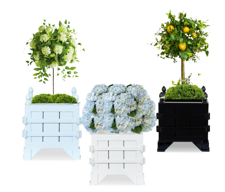 Black Extra Small Provence Planter