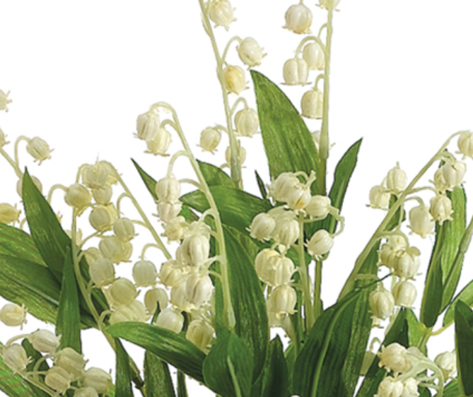 Set of 12 Lily of The Valley Bush Cream