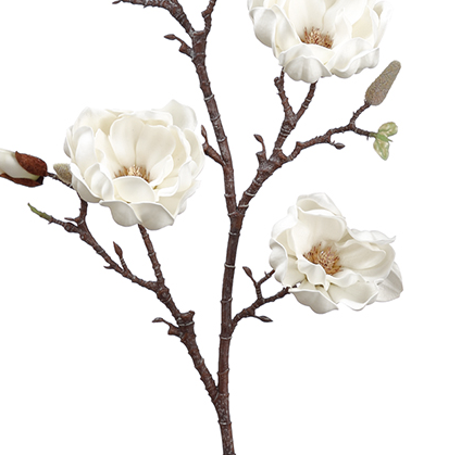Box of 12 Lifelike 40" Magnolia Stems