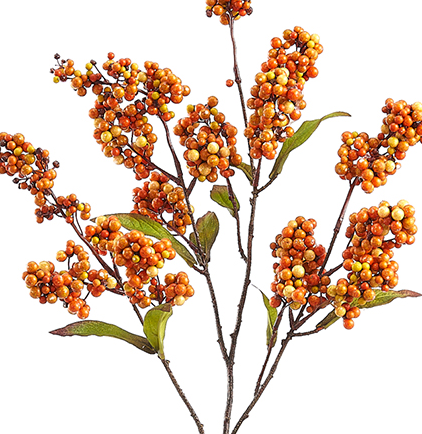 Box of 6 Autumn Berry 32" Stems