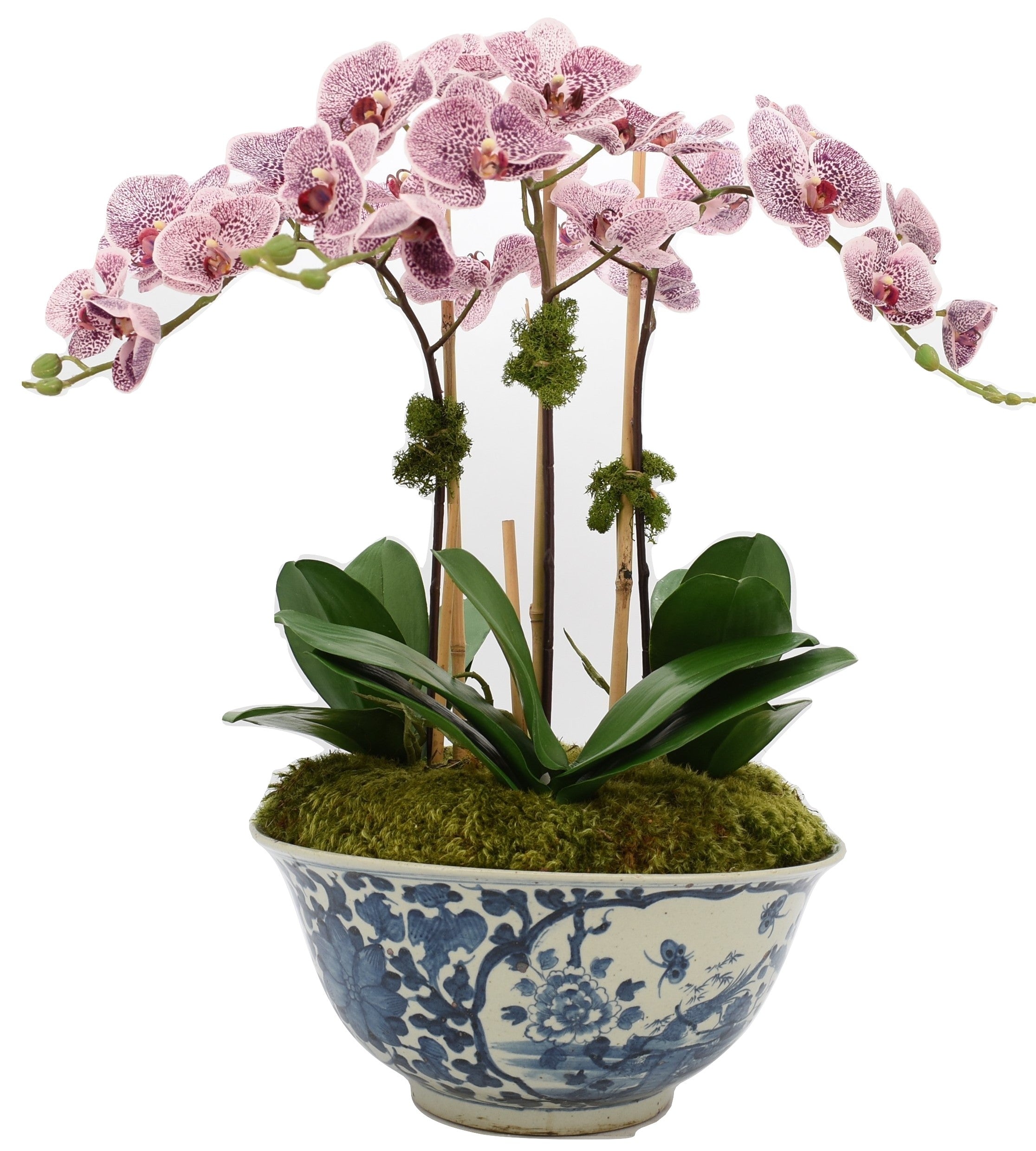 Three Stem Pink Orchid in Antique Pheasant Bowl