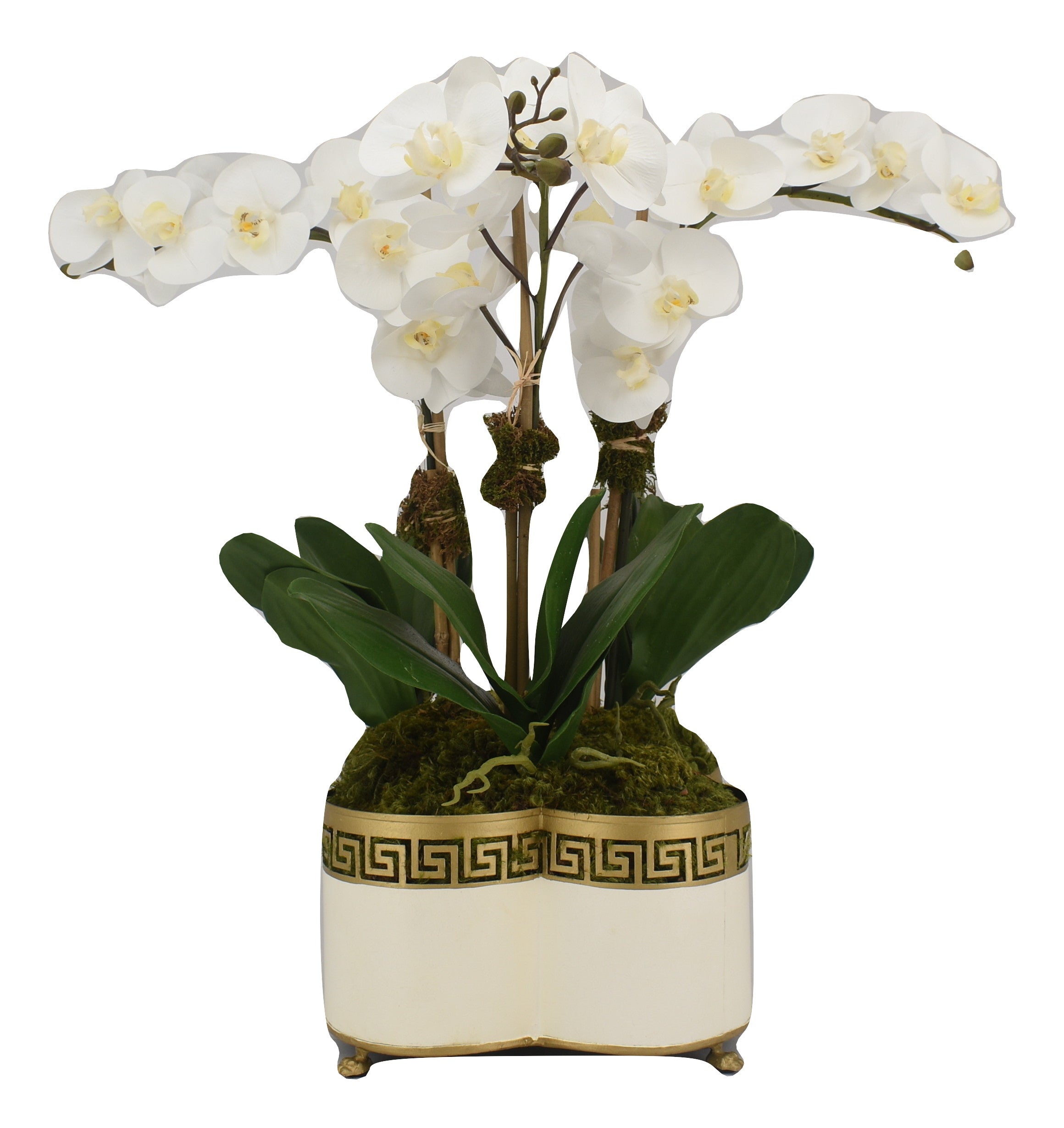 3 Stem White Orchid in Ivory Fretwork Quatrefoil Planter
