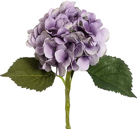 Hydrangea Stems (Box of 12)
