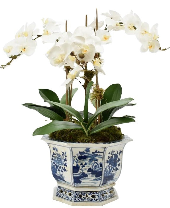3 Stem White Orchid in Round Pierced Porcelain Planter