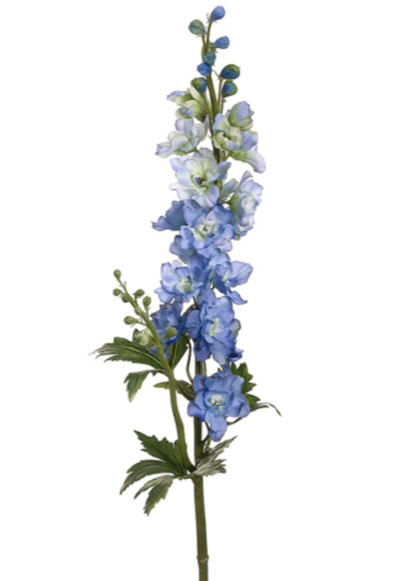 Blue Delphinium Flowers