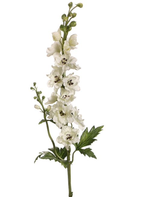 White Delphinium Stems (Box of 12)