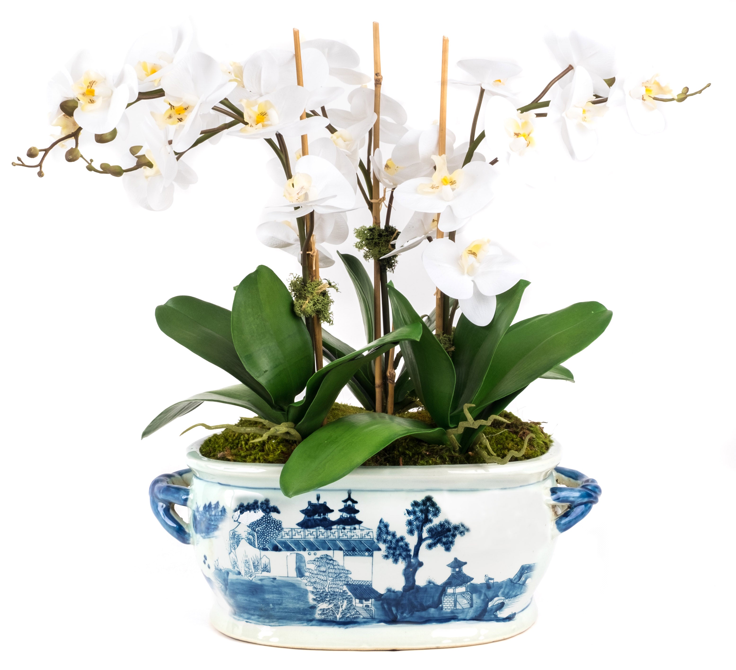Four Stem White Orchid in Porcelain Oval Fishbowl