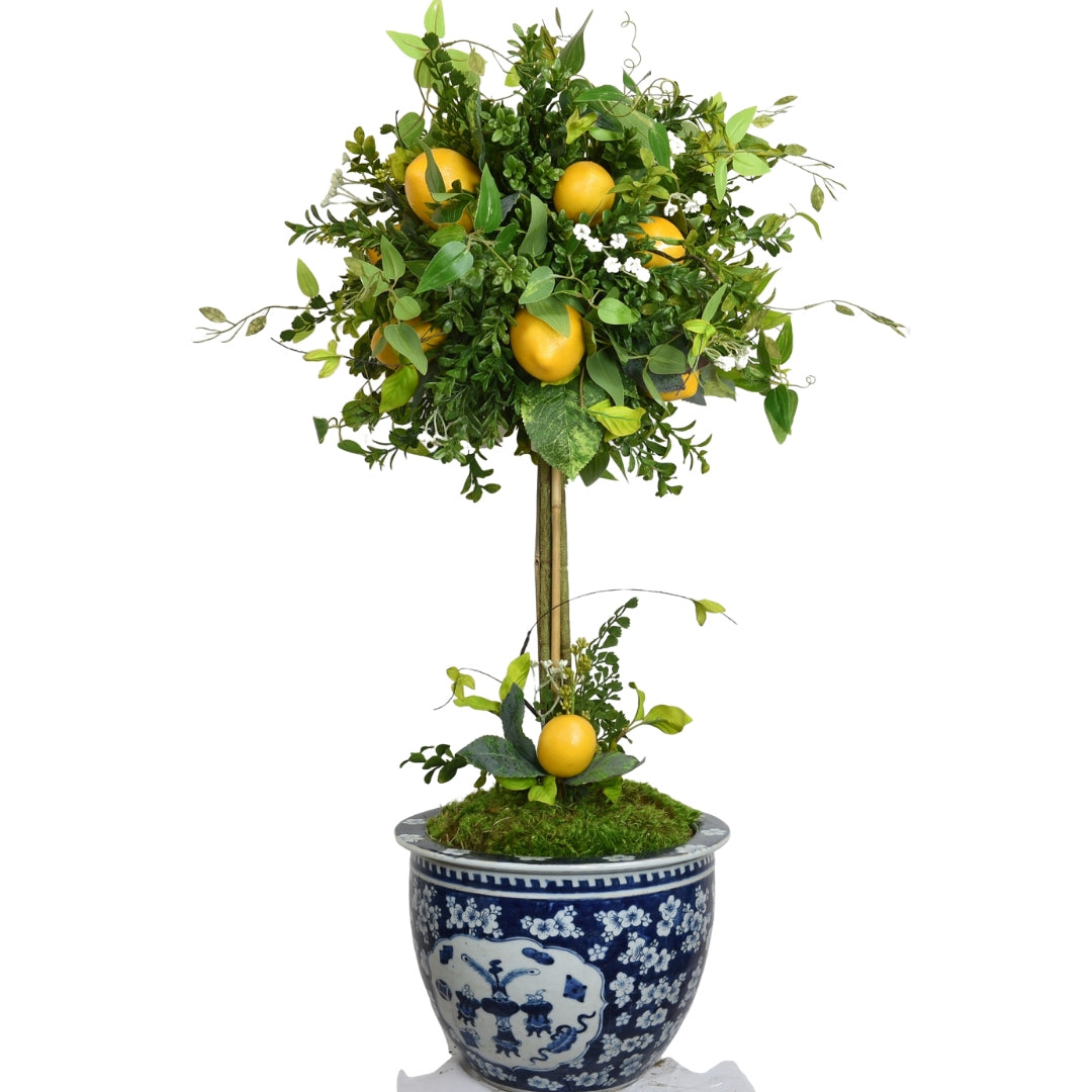 Lemon & Greenery Topiary in Fishbowl Planter