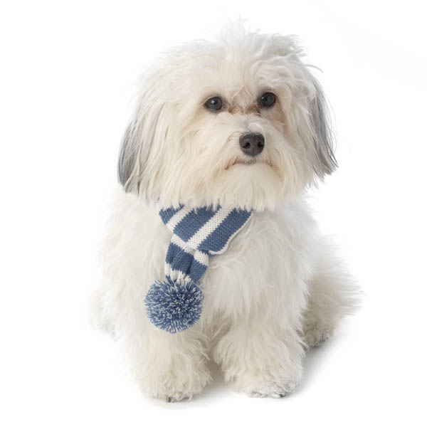 frostys-snowflake-dog-scarf-winter-blue-1