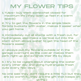 The story of my Whole Foods flowers and their ten day life- part two ...