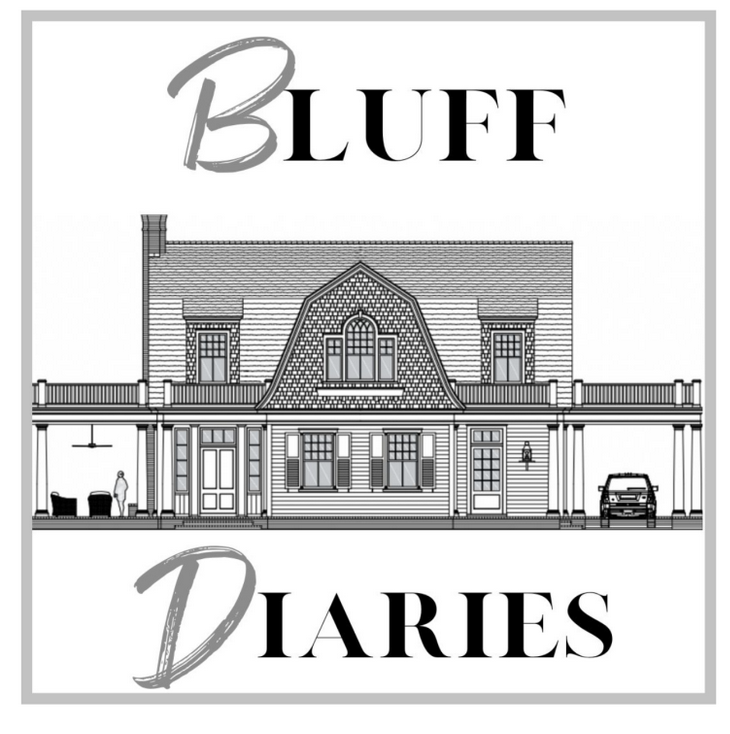 Bluff Diaries Chapter 66