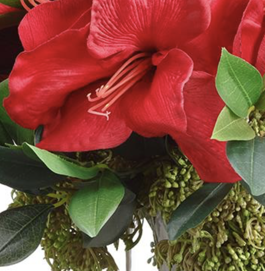 Red Amaryllis Arrangement in Glass Container