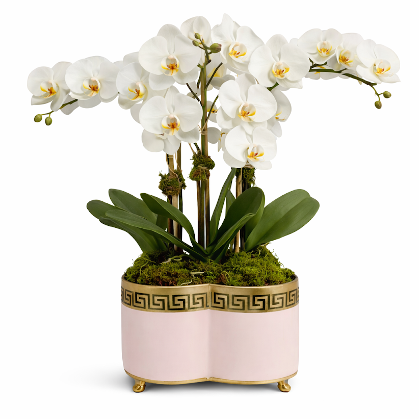 3 Stem White Orchid in Pink Greek Key Quatrefoil Planter