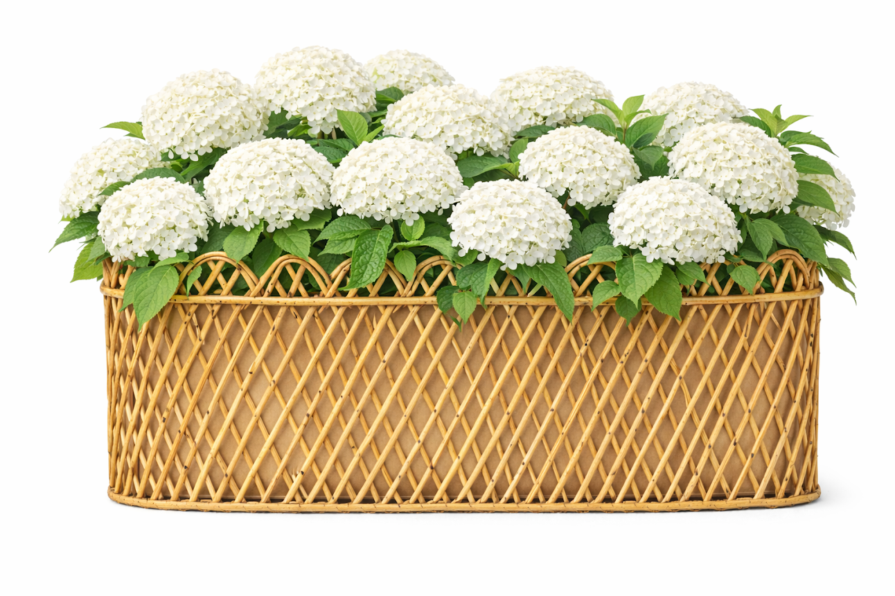 Jumbo Natural Oval Rattan Scalloped Planter - Thumbnail 3